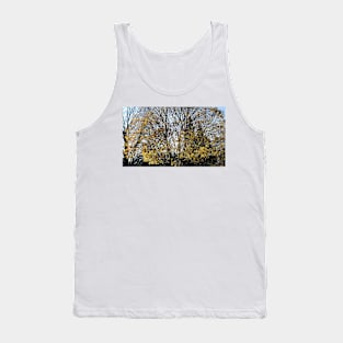 Trees and Sky Tank Top